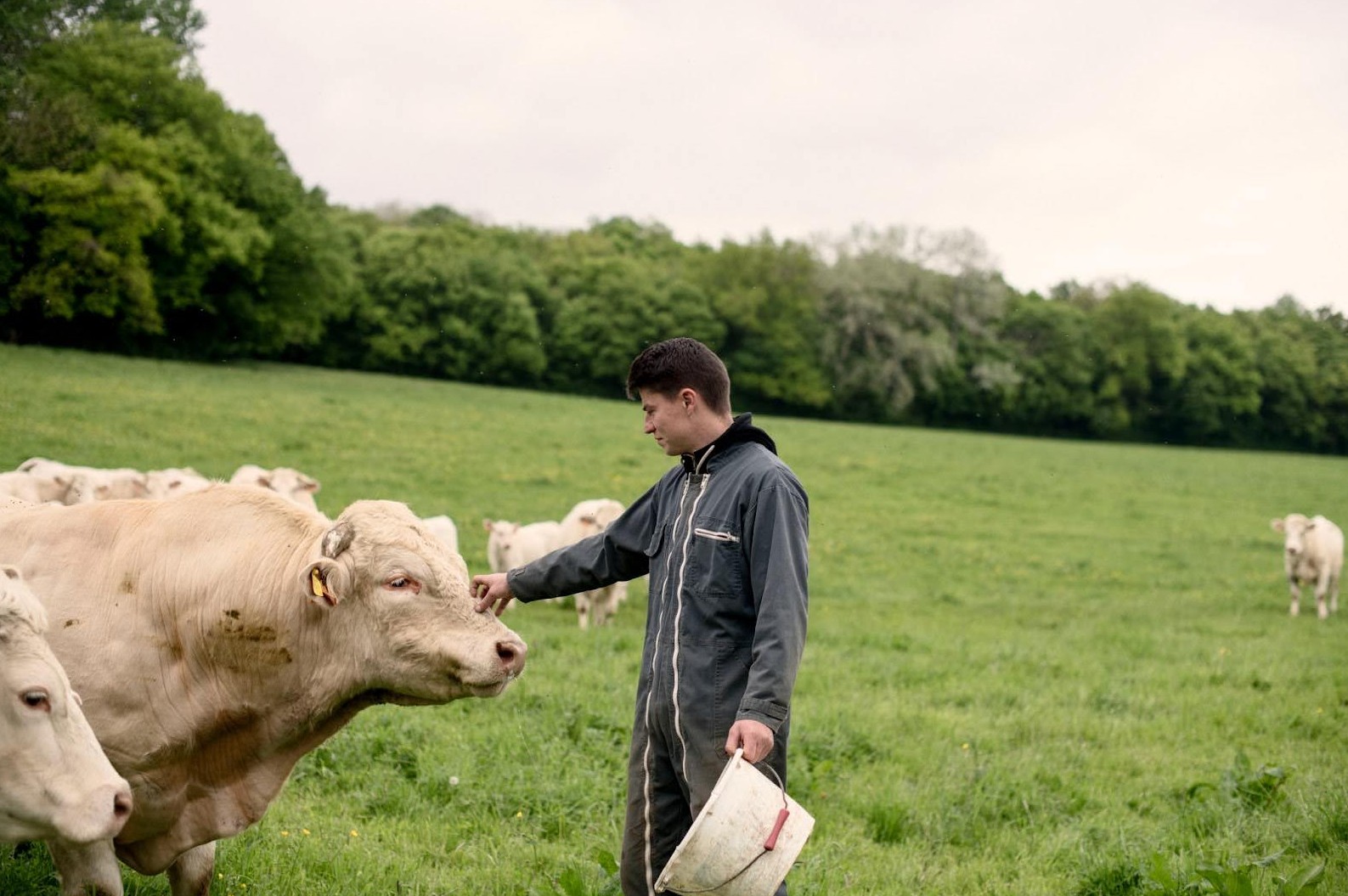Enfin, l’élevage herbager contribue aussi à l’aménagement du territoire, en maintenant des paysages ouverts et la vitalité des zones rurales