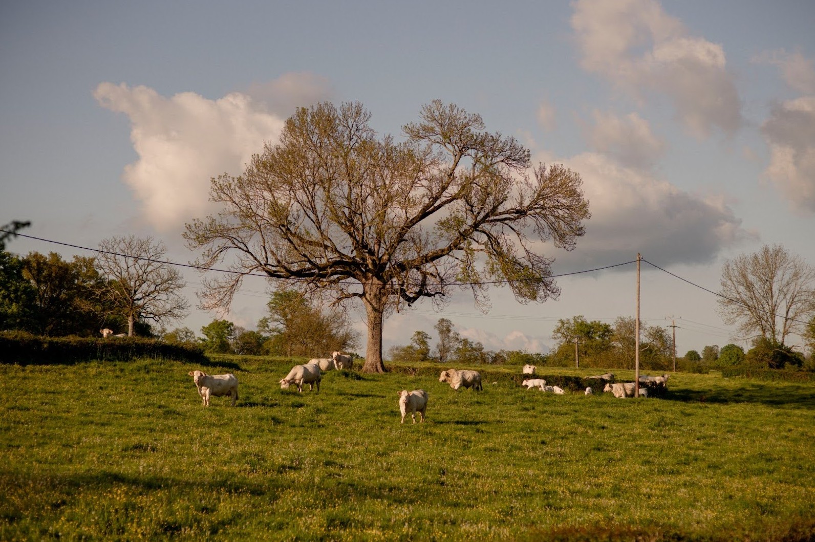 Il faut arrêter de courir derrière les crises sanitaires
